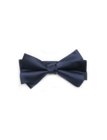 Solid Navy Silk Bowtie